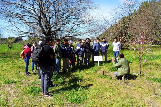 Llevamos adelante una capacitación sobre poda de frutales destinada a alumnos de la Escuela de Educación Agropecuaria