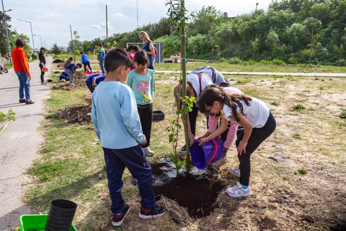 Jornada de plantación