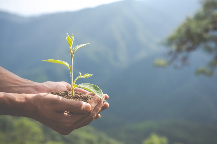 Día Mundial del Ambiente