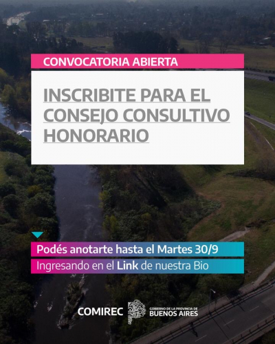 CONSEJO CONSULTIVO
