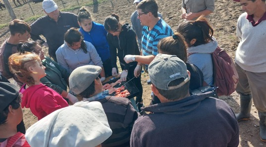 Capacitación en inseminación artificial bovina para trabajadores rurales