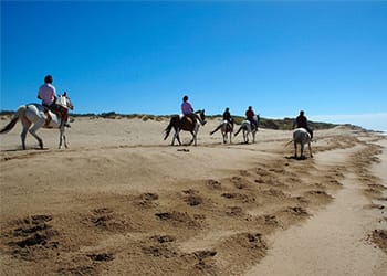 Turismo de Invierno