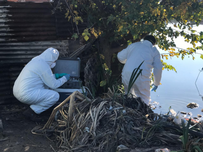 Análisis de muestras ambientales.