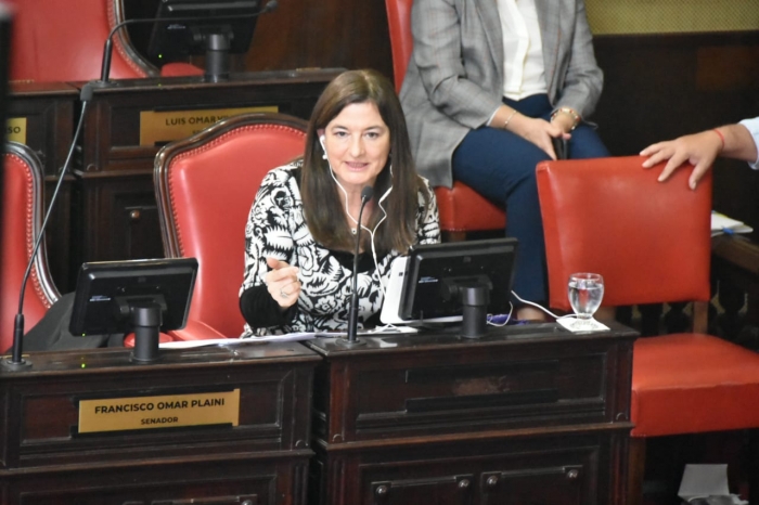 La Ministra Estela Diaz en sesión especial del Senado da inicio a la implementación de la Ley Micela