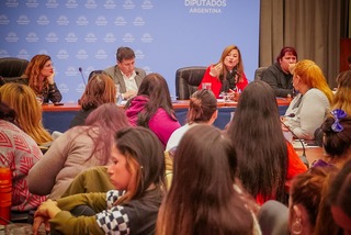 Presentación de propuestas legislativas sobre cuota alimentaria