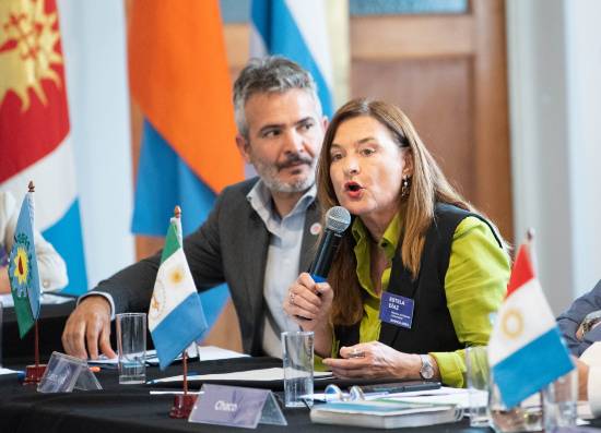 Consejo Federal de las Mujeres