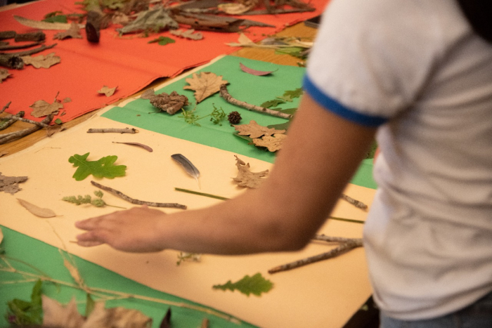 Arte y botánica en el Pereyra