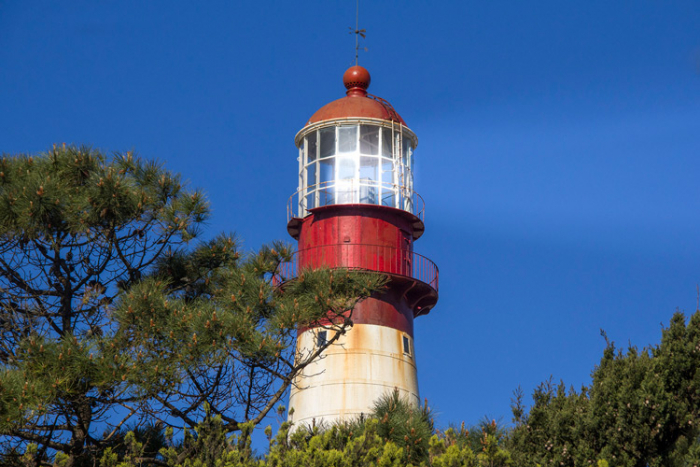 Faro de la Memoria