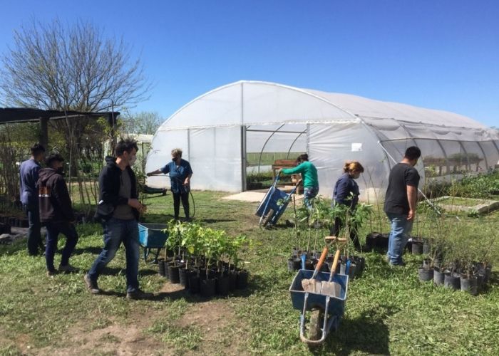 Trabajos de forestación en el Polo Productivo de San Vicente