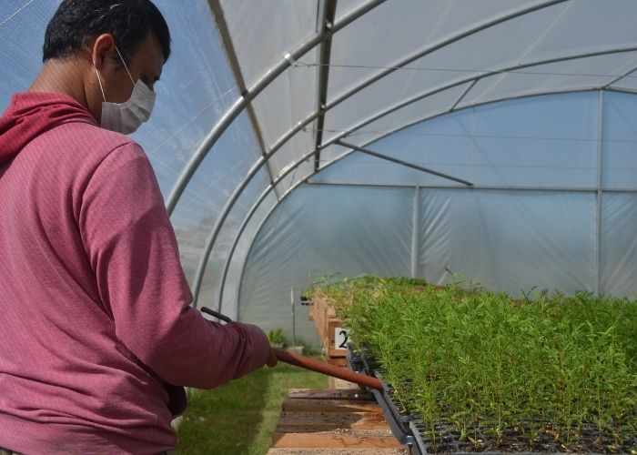 Trabajos en el Vivero Forestal de San Vicente