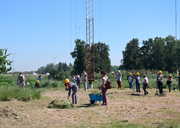 Cooperativistas llevan a cabo tareas de saneamiento y limpieza del basural