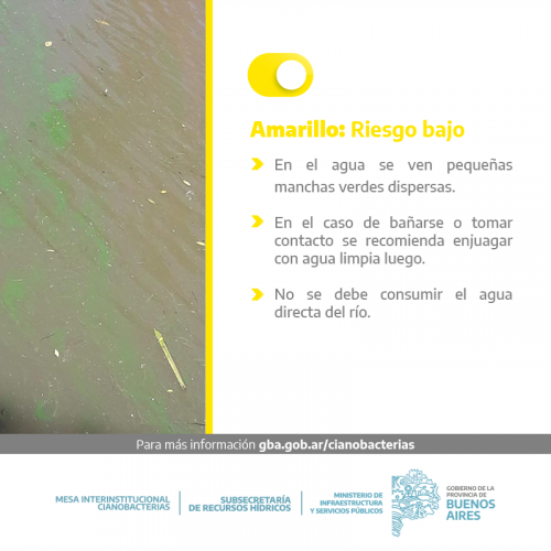 Alerta amarillo por la presencia de cianobacterias en la costa de Berisso