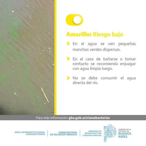 Alerta Amarillo por la presencia de cianobacterias en Berisso y Ensenada