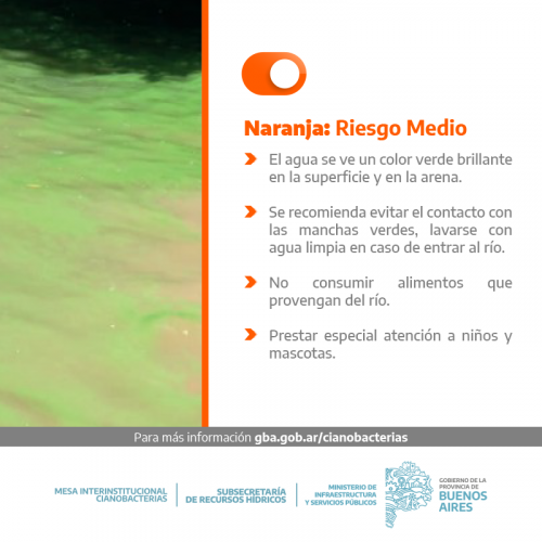Alerta Naranja por la presencia de cianobacterias en la costa de Berisso 
