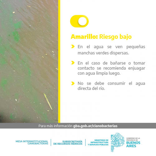 Alerta Amarillo por la presencia de cianobacterias en la costa de Berisso