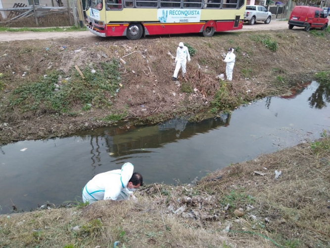 Limpieza y mantenimiento en 900 metros de arroyos y canales