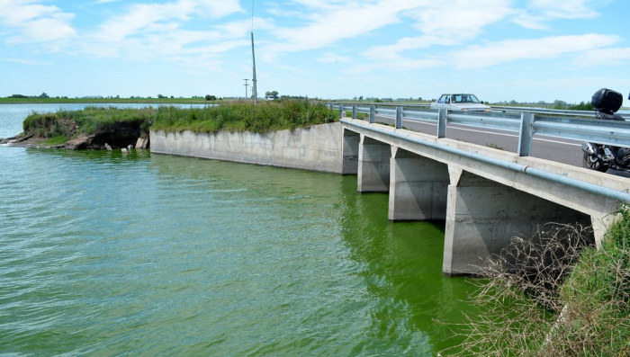 Se identificaron cianobacterias en la Laguna de Gómez.