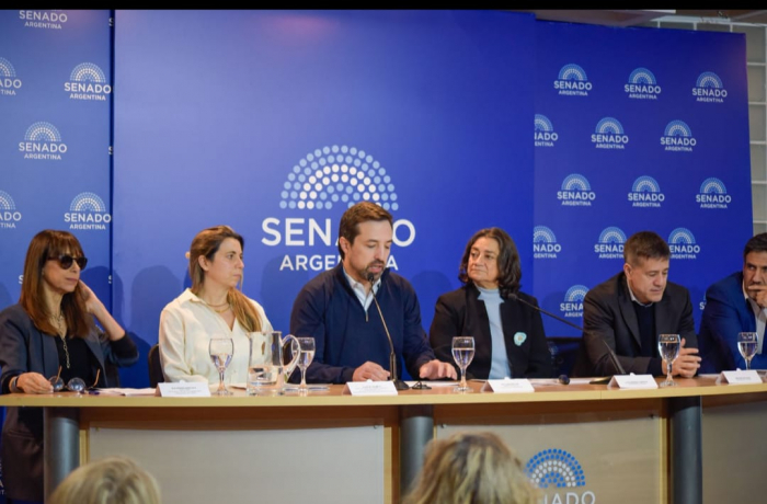 El ministro Kreplak participó de la presentación.