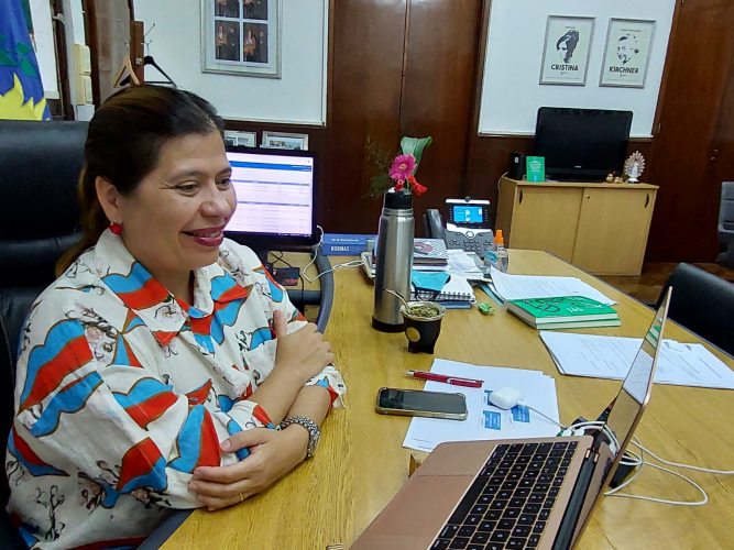 La subsecretaria Anadón en reunión virtual con directores/as de hospitales.