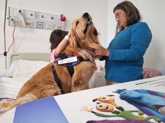 Los animales se convierten en puentes que alivian, conectan y acompañan Los animales se convierten en puentes que alivian, conectan y acompañan