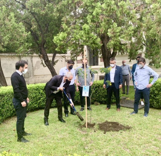 Plantan un árbol por la memoria en los jardines de la Casa de Gobierno