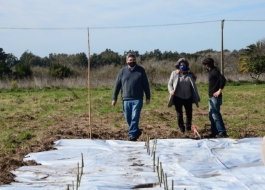 IMPULSO DE LA PRODUCCIÓN FORESTAL EN LAS CHACRAS DEL MDA
