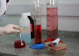 CIENCIA Y TECNOLOGÍA