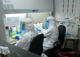 laboratorio pool