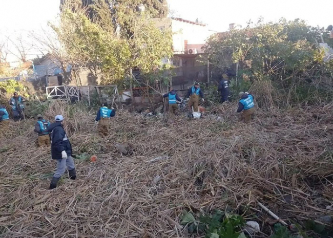 Limpieza de arroyo en Lomas de Zamora