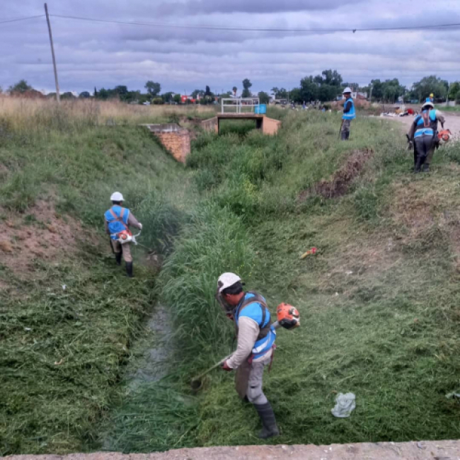 Operativos de limpieza en arroyos de Merlo y La Plata