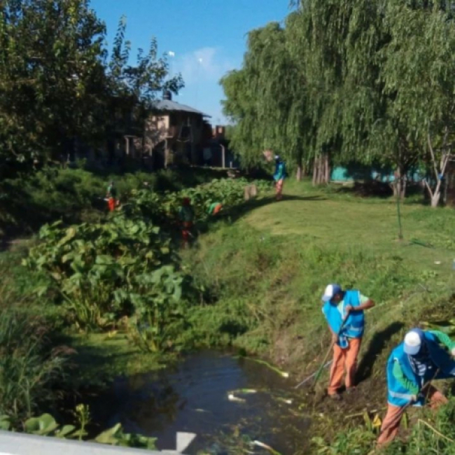 Limpieza de arroyos en Pilar