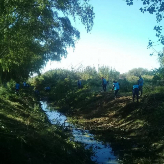 Limpieza de arroyos en Campana