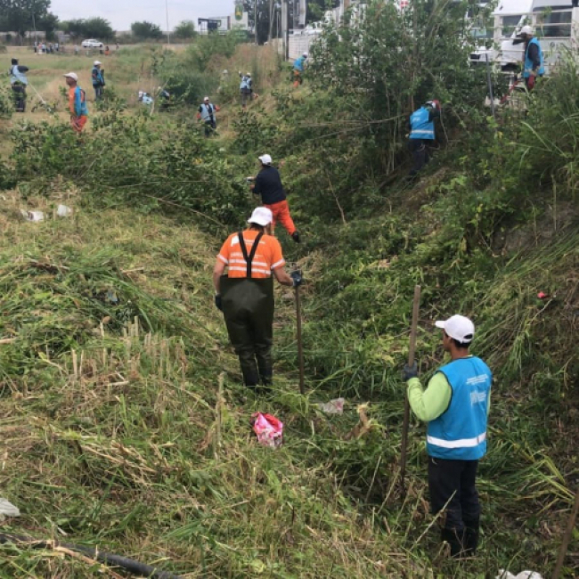 Operativos de limpieza en arroyos de Merlo y La Plata