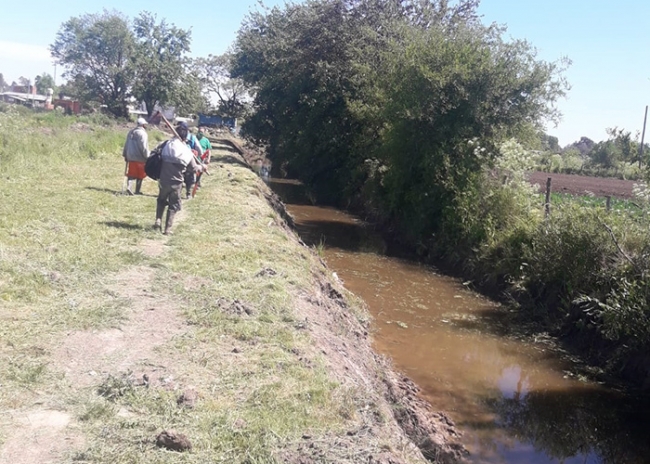 Continúa la limpieza de arroyos