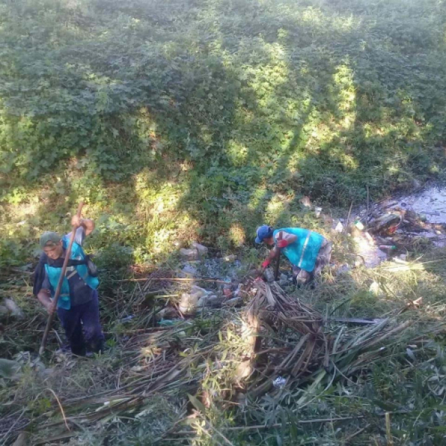 Limpieza de arroyos en Campana