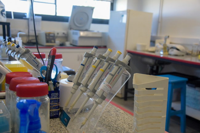 Salud y UNLP visitaron el laboratorio de Enfermedades poco Frecuentes image 1