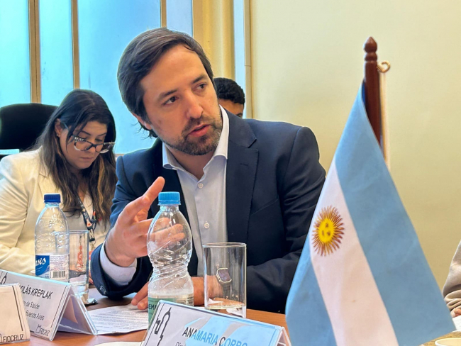 Kreplak: “Tenemos un gran sistema de salud, pero es necesario estructurarlo" image 1