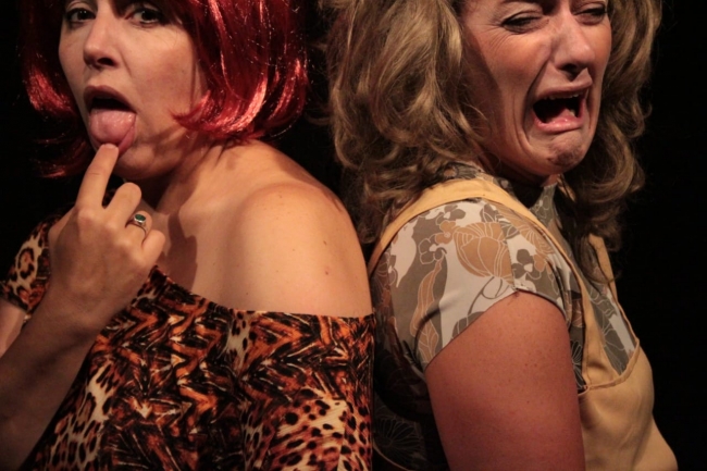 Teatro marplatense