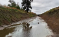 Limpieza, reperfilado y cambio de alcantarillas del Arroyo Bustillo