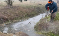 Limpieza de arroyos en La Plata