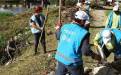 Limpieza de arroyos en La Plata