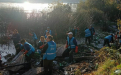 Limpieza de arroyos en Tigre