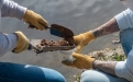 Trabajos de Monitoreo hídrico y de sedimentos en el Río Luján