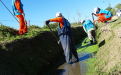 Operativos de limpieza en arroyos, canales y zanjas de distintas localidades 