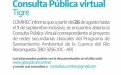 Consulta Pública Virtual