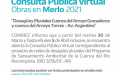 Consulta Pública Virtual