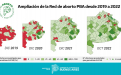 En el 98% de los municipios está garantizado el acceso al aborto legal image 1