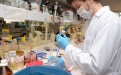 LA PROVINCIA INCORPORA DOS NUEVOS LABORATORIOS DE UNIVERSIDADES NACIONALES A SU RED DE DIAGNOSTICO image 4