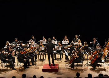 La Camerata Académica del Teatro Argentino ofrecerá un concierto el 25 de febrero