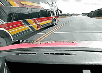 El chofer del colectivo es un conductor con licencia profesional.